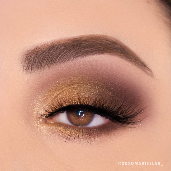 Golden Treasure Palette